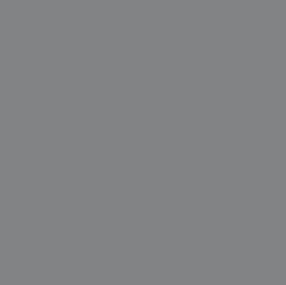 Gris Perla 070A